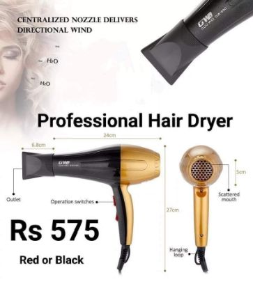 Picture of Professional hair Dryer