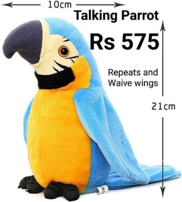 Picture of Talking Parrot
