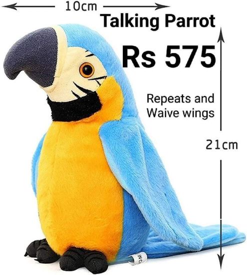 Picture of Talking Parrot