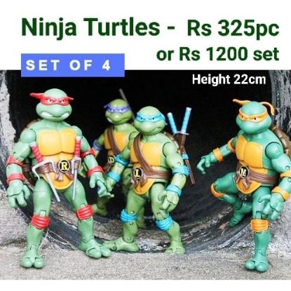 Picture of Ninja Turtle