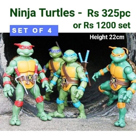 Picture of Ninja Turtle