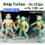 Picture of Ninja Turtle