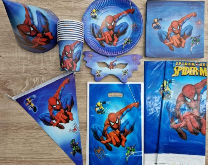 Picture of Spiderman birthday party items 