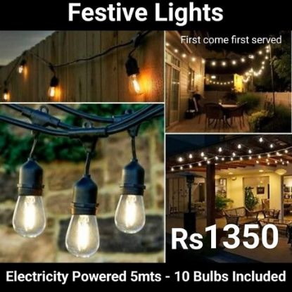 Picture of Festive Light's 
