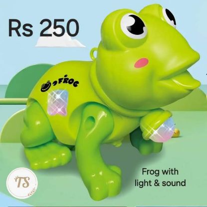 Picture of Frog with light 